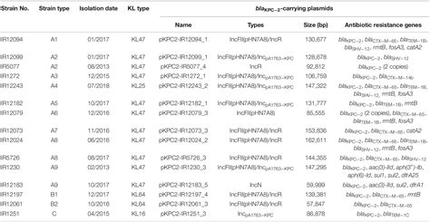 Frontiers Genomic Analysis Of Kpc 2 Producing Klebsiella Pneumoniae St11 Isolates At The