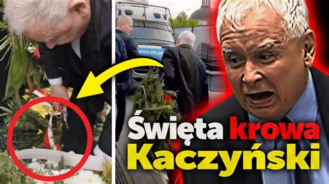 Święta krowa Kaczyński Prokuratorzy policjanci i dziennikarze