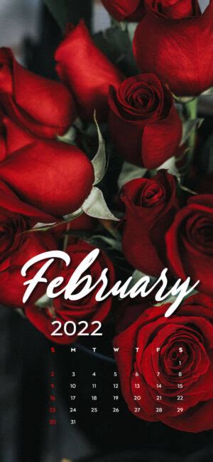 Welcome February Wallpaper | WhatsPaper