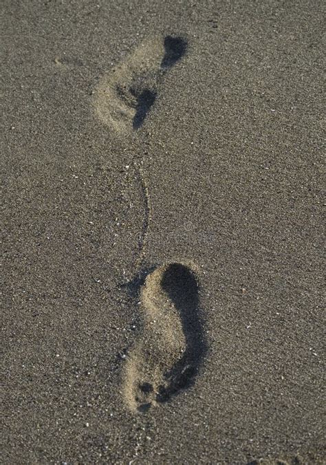 Abdruck Im Sand Auf Dem Strand Stockbild Bild Von Sand Ozean