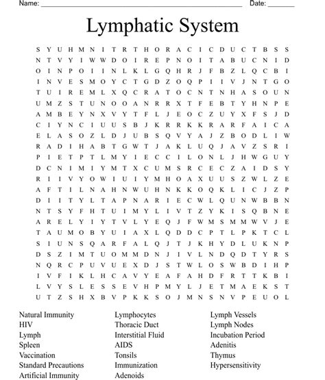 Lymphatic System Word Search Wordmint