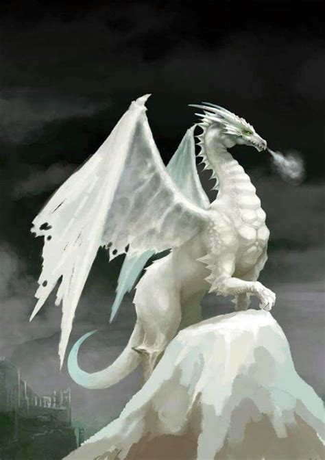 White Dragon Pictures