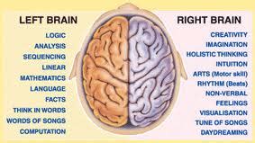 brain spheres and personality | Ergun UNUTMAZ