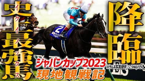 【ジャパンカップ2023】出資馬イクイノックスが3冠牝馬を肩ムチ2発でぶっちぎった伝説のレースを現地最前列で観戦してきた！【節約大全】vol