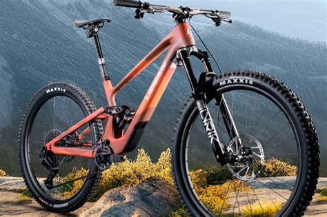 Las 8 Mejores Marcas de Bicicletas de Montaña MTB