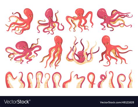 Octopus With Tentacles Kraken Squid Monster Vector Image