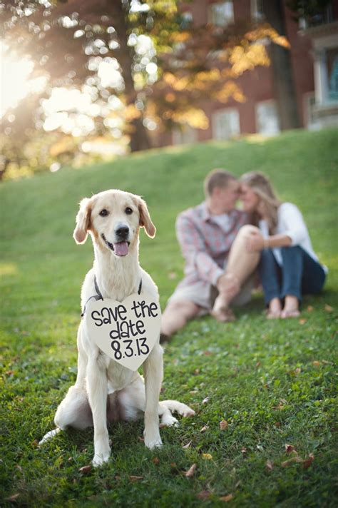 Save The Date Popular Wedding Pictures On Pinterest 2013 Popsugar