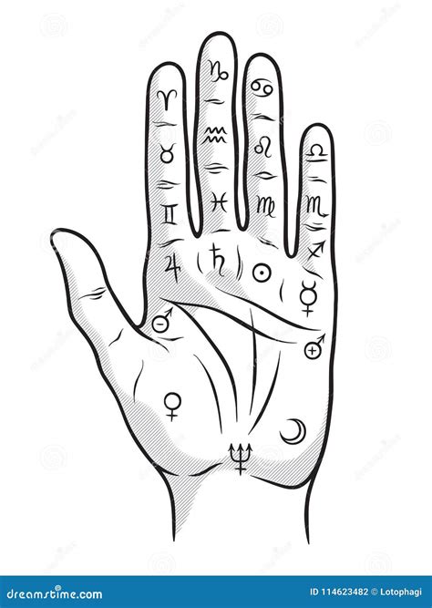 Palmistry Or Chiromancy Hand With Signs Of The Planets And Zodiac Signs