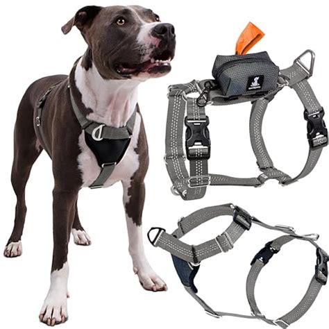 Dog Harness Types – The 15 best products compared - Wild Explained