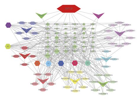 Diagram Of Drug Active Component Target Disease Network Between Hxtlf