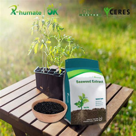 Seaweed Biostimulant Fertilizer Extract Ascophyllum Nodosum