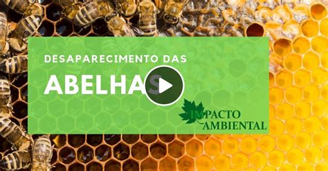 Ambientalidades Desaparecimento Das Abelhas By Ambientalidades Mixcloud