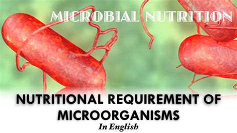 Microbial Nutrition Nutritional Requirements Of Microorganisms