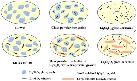 Frontiers Microstructure And Mechanical Properties Of Li2Si2O5