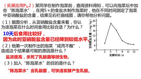 专题13 发酵工程 2023年高考生物二轮复习课件共55张ppt（新教材专用） 21世纪教育网