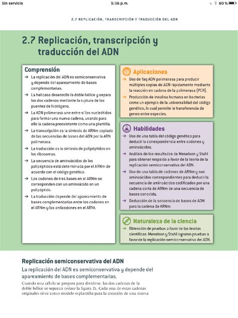 Replicación Transcripción Y Traducción Del Adn Guías Proyectos Investigaciones De Biología