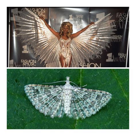 Why did Chaz Bono stop guesting on Drag Race (and why is Cher a non-fan