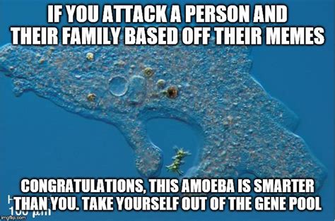 Amoeba Imgflip