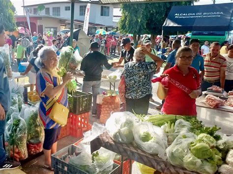 M S De Agro Ferias Ha Realizado El Ima En El Panam En Minutos