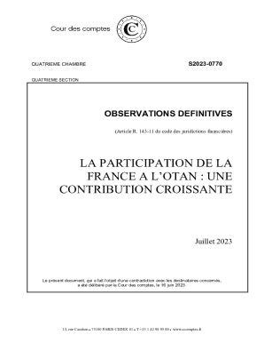 Remplissable En Ligne Observations Dfinitives La Contribution