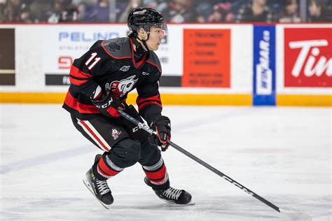 Kevin He Scores Goal Number 20 Icedogs Fall To Firebirds Niagara Icedogs