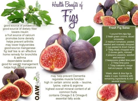 Health Benefits Of Fresh Figs