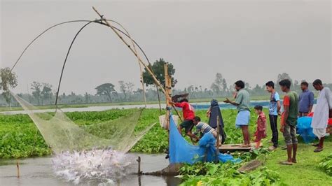 Unbelievable Fishing In Rainy Season Amazing Village Fishing Video