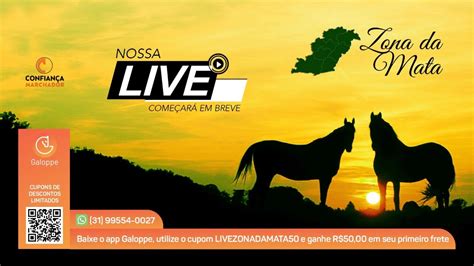 Live Haras Zona Da Mata YouTube