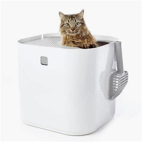 Litter Boxes Best Cat Litter Boxes Modkat