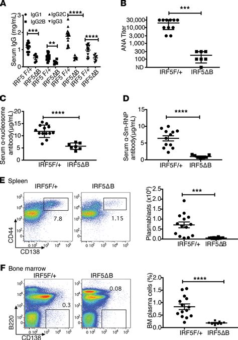 Serum IgG autoantibodies and plasma cells are reduced in IRF5 Δ B