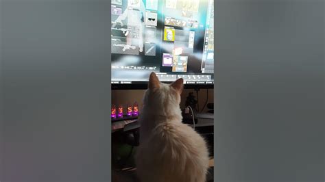 котик играет в Тарков - YouTube