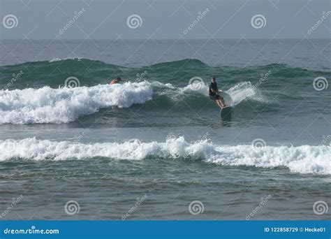 Surfing The Waves Of Koggala Beach In Sri Lanka Editorial Stock Image