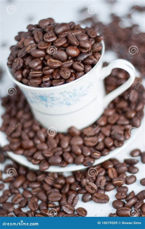 Feijões de café imagem de stock Imagem de alimento bebida 10079509