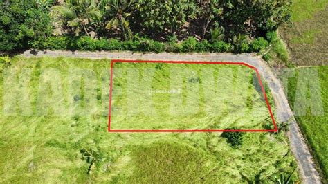 Dijual Tanah Silungan Lodtunduh Ubud Cocok Untuk Dibangun Villa Gianyar