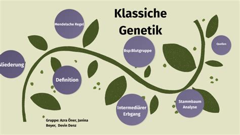 Klassische Genetik By Azra Ner On Prezi