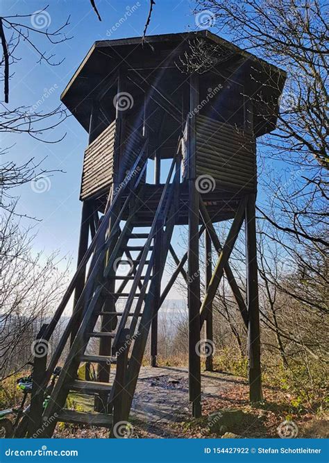 Searching rentals in auburn ca uncovers a surprising hidden cabin 30