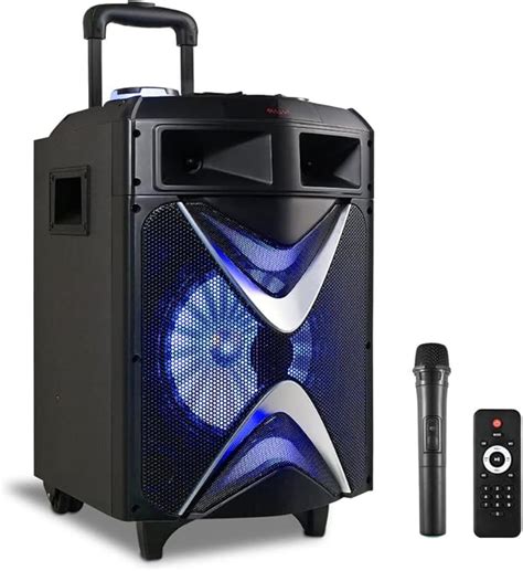 Gjcrafts Cassa Karaoke Professionale Con Microfoni Wireless Sistemi Pa