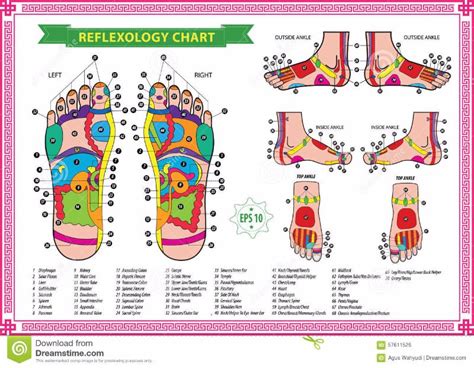 31 Printable Foot Reflexology Charts And Maps ᐅ Templatelab