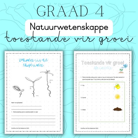 Graad 4 Nw Toestande Vir Groei