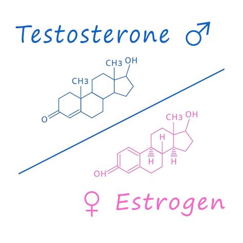 Premium Vector Chemical Molecular Formula Hormone Testosterone And