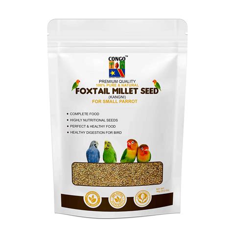 Buy CONGO Natural Parrot Treat Premium Imported Foxtail Millet