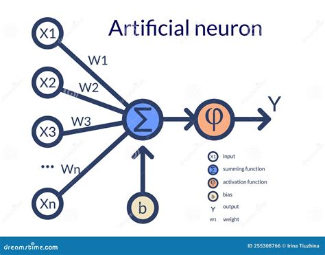 Mathematical Scheme Of The Artificial Neuron Multiple Inputs Weight