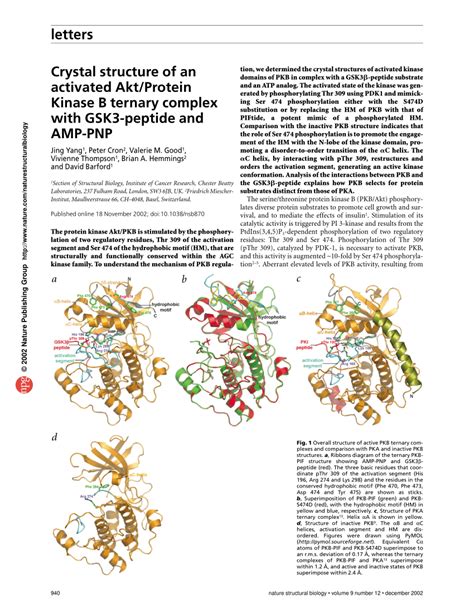 Pdf Crystal Structure Of An Activated Akt Protein Kinase B Ternary