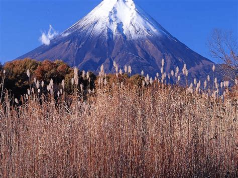 大国崛起 日本 哔哩哔哩