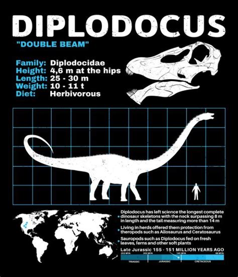 Classic T Shirt Mit Diplodocus Datenblatt Von Nicgraygraphic