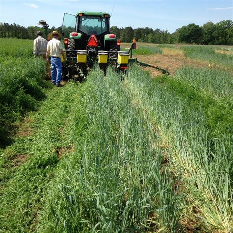 Weed Control With Your Cover Crop UT Crops News