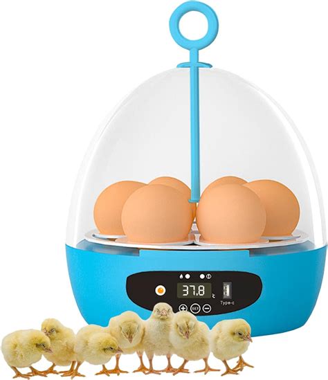 Incubadora de 6 huevos para incubar huevos de 360 con giro automático