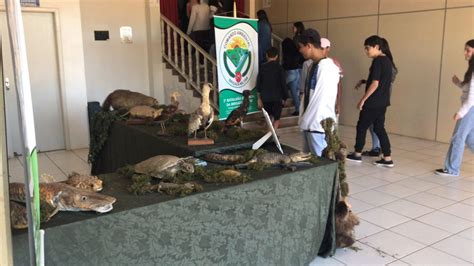 Batalh O Ambiental Da Brigada Militar Realiza Palestra E Exposi O