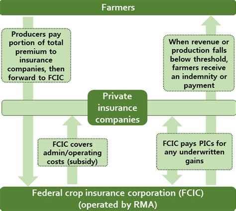 Simplified Diagram Of The Structure And Processes Of The Federal Crop