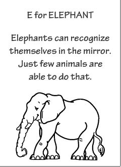 English abc animals for kids | Elephant fun facts